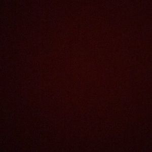 Meet your Posher, Patty